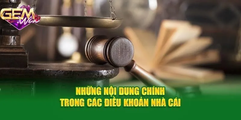 Thông tin về điều khoản điều kiện